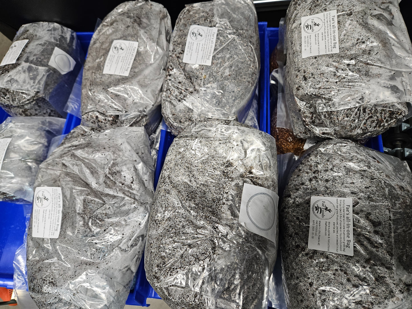multiple all in one mushroom grow bags with injection ports and filter patches
