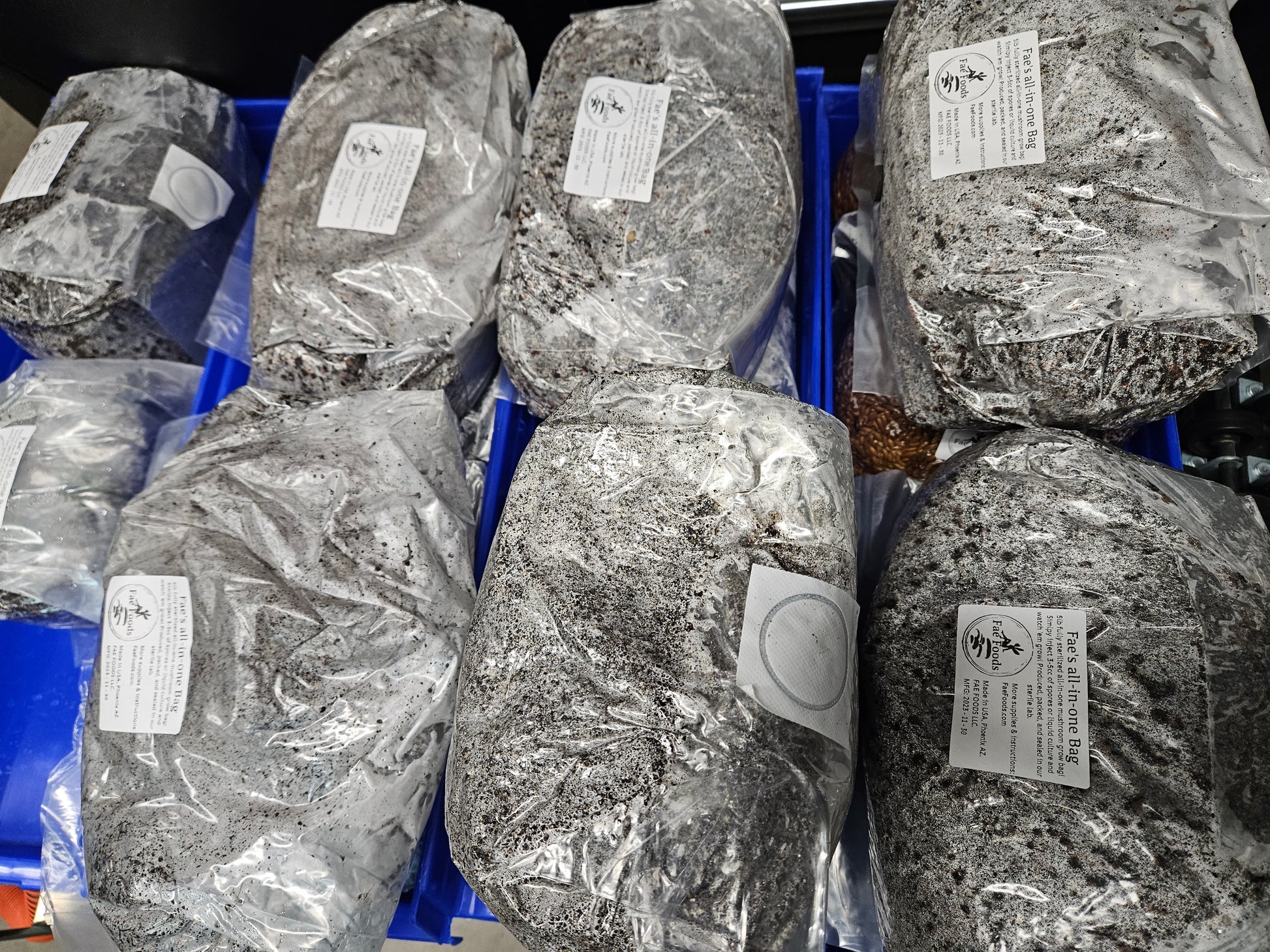 multiple all in one mushroom grow bags with injection ports and filter patches