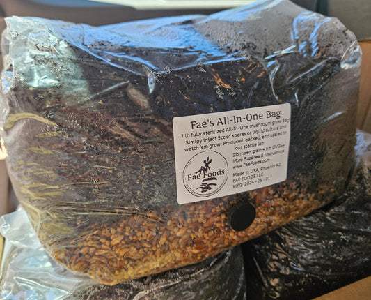 a single bag of the product with substrate on top and mixed grain below, showing injection port and a label with logo and instructions.