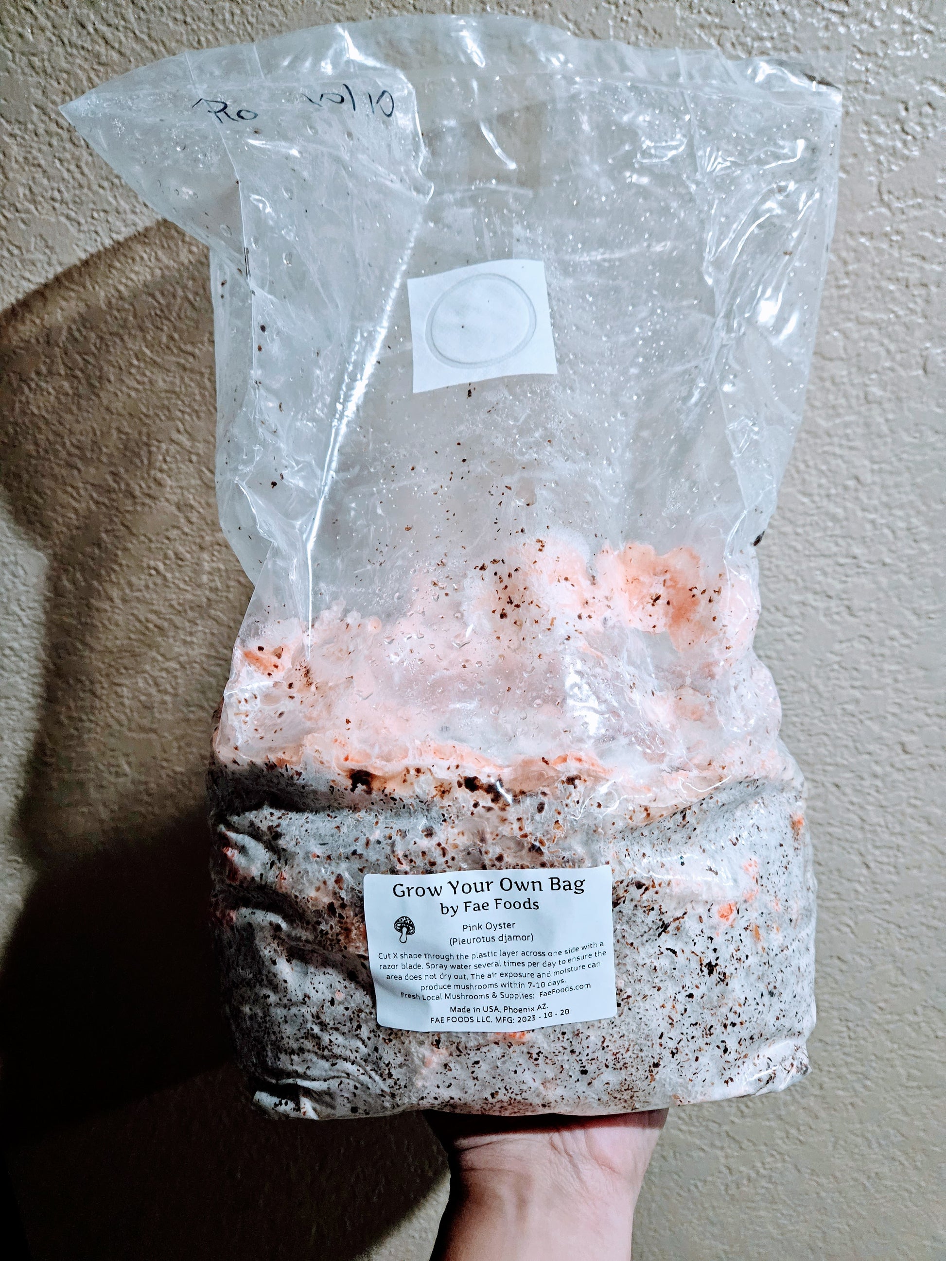 Whole mushroom grow at home bag